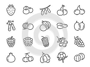 Wild berry line icon set. Included the icons as blueberry, cranberry, raspberry, strawberry, cherry and more.