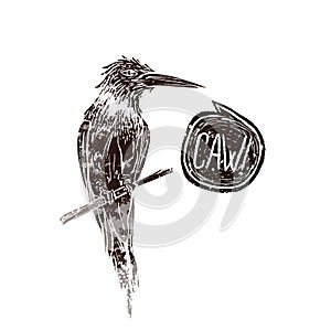 Wild bird in linocut retro style, vintage silhouette of bird with caw speech bubble on white