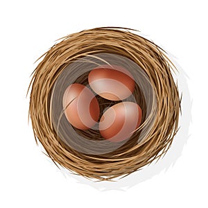 Wild bird nest from straw and twigs with chicken eggs