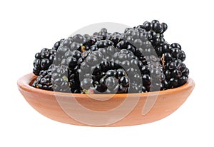 Wild blackberries in a small bowl