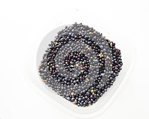 Wild Blueberries in a square container against White