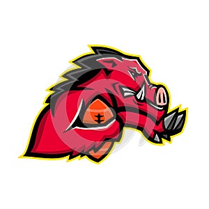 Wild Boar American Football Mascot