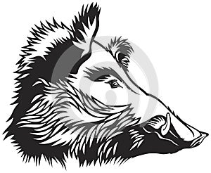 Wild boar head engraver scratchboard style vector