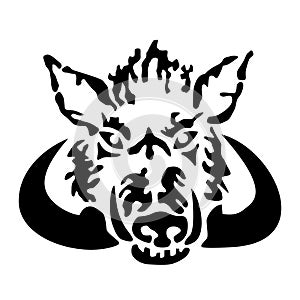 Wild boar head illustration