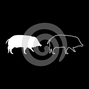 Wild boar Hog wart Swine Suidae Sus Tusker Scrofa silhouette white color vector illustration solid outline style image
