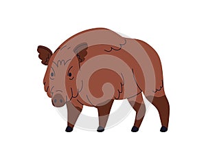 Wild boar, large forest pig, hog with brown fur. European Eurasian Sus Scrofa, swine beast. Woods fauna, omnivore mammal photo