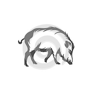 Wild boar Logo Design Vector. Template Illustration. Icon Symbol