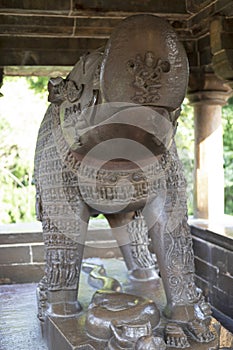 Wild Boar sculpture, Varaha temple, Khajuraho, Madhya Pradesh