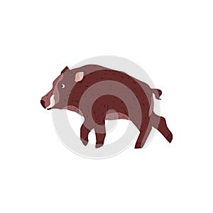 Wild boar vector isolated illustration, forest animal of the tundra and taiga, nature creature, wild hog boar with tusks