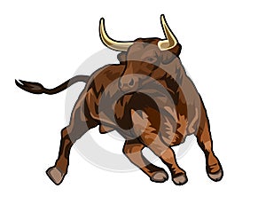 wild bull illustraton image