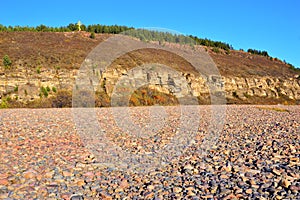 The wild bushes of sea-buckthorn on a background of sandy cliffs and river pebbles. Clear autumn day. Landscape