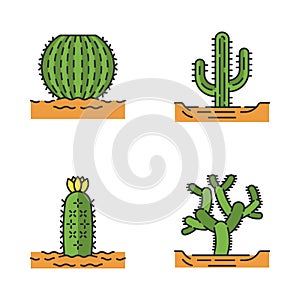 Wild cacti in land color icons set photo