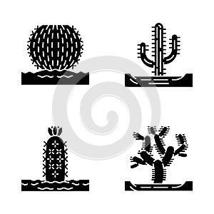 Wild cacti in land glyph icons set photo
