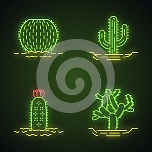 Wild cacti in land neon light icons set photo