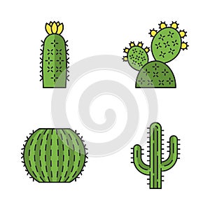 Wild cactus color icons set