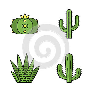 Wild cactus color icons set