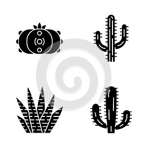 Wild cactus glyph icons set