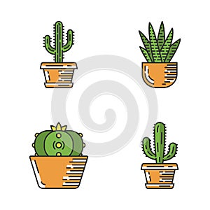 Wild cactus in pot color icons set