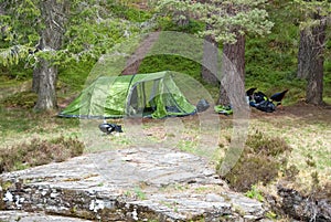 Wild campers pitch tent in isolated woodland in Scotland