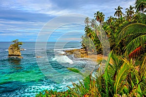 Wild caribbean beach of Costa Rica - Manzanillo