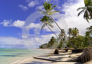 Wild caribbean beach. Samana. photo