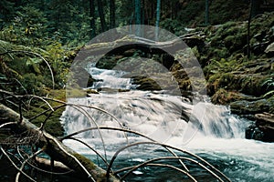 Wild cascade river situated in cold evening  forest mountain environment