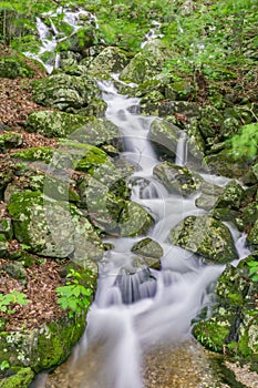 Wild Cascading Waterfall in the Blue Ridge Mountain