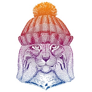 Wild cat, bobcat, trot, lynx. Ski, skier animal wearing woolen knitted hat. Christmas time. Cartoon character for little