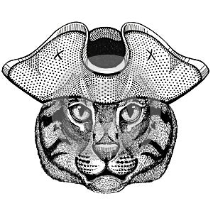 Wild cat Fishing cat wearing pirate hat Cocked hat, tricorn Sailor, seaman, mariner, or seafarer