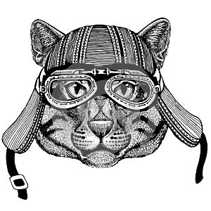 Wild cat Fishing cat Wild animal wearing biker motorcycle aviator fly club helmet Illustration for tattoo, emblem, badge