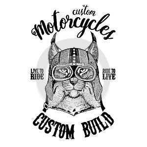 Wild cat Lynx Bobcat Trot Biker, motorcycle animal. Hand drawn image for tattoo, emblem, badge, logo, patch, t-shirt