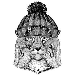 Wild cat Lynx Bobcat Trot Cool animal wearing knitted winter hat. Warm headdress beanie Christmas cap for tattoo, t