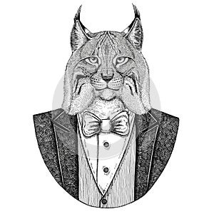 Wild cat Lynx Bobcat Trot Hipster animal Hand drawn illustration for tattoo, emblem, badge, logo, patch, t-shirt