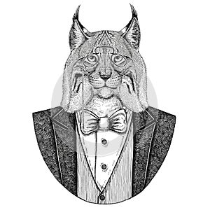 Wild cat Lynx Bobcat Trot Hipster animal Hand drawn illustration for tattoo, emblem, badge, logo, patch, t-shirt