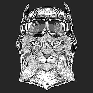 Wild cat Lynx Bobcat Trot wearing aviator hat. Print for children clothes, tee, t-shirt. Pilot wild animal