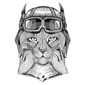 Wild cat Lynx Bobcat Trot wearing leather helmet Aviator, biker, motorcycle Hand drawn illustration for tattoo, emblem