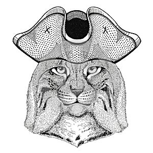 Wild cat Lynx Bobcat Trot wearing pirate hat Cocked hat, tricorn Sailor, seaman, mariner, or seafarer