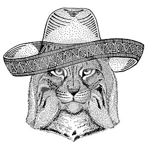 Wild cat, Lynx, Bobcat, Trot wearing traditional mexican hat. Classic headdress, fiesta, party.