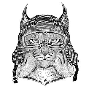 Wild cat Lynx Bobcat Trot wearing vintage motorcycle helmet Tattoo, badge, emblem, logo, patch, t-shirt