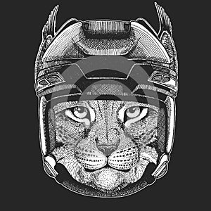 Wild cat Lynx Bobcat Trot Wild animal wearing hockey helmet. Print for t-shirt design.