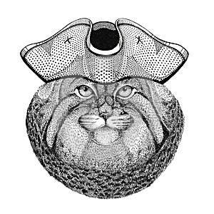 Wild cat Manul wearing pirate hat Cocked hat, tricorn Sailor, seaman, mariner, or seafarer