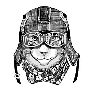 Wild cat Wild cat The cat wears a motorcycle helmet Hand drawn picture