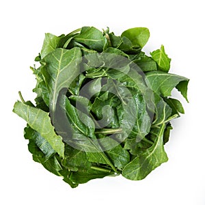 Wild Chard, Swiss chard, Bietola, Beta vulgaris, photo