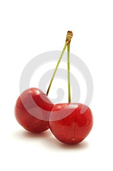 Wild cherry