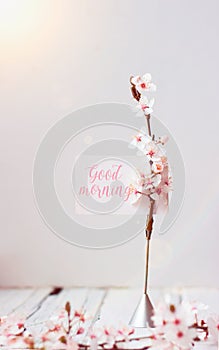 Wild cherry flowers and note holder with `Good morning` text