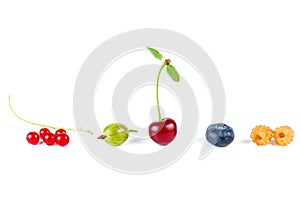 Wild cherry, red currants, green gooseberry,yellow raspberry and blueberry isolated on white