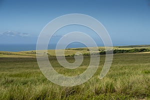 The Wild Coast, grasslands and African veld grazing fields for Nguni cattle in South Africa