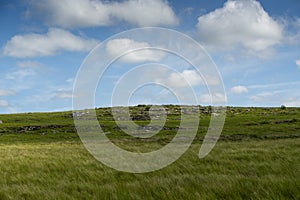 The Wild Coast, grasslands and African veld grazing fields for Nguni cattle in South Africa