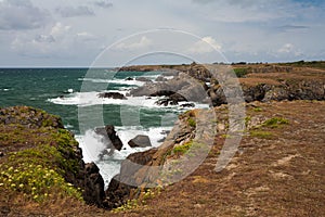 Wild coast of Ile d'Yeu in Vendee, France