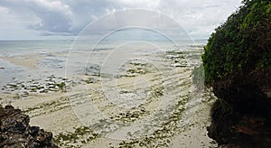 nyali beach in kenya